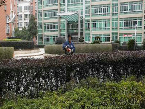綠化維護(hù)